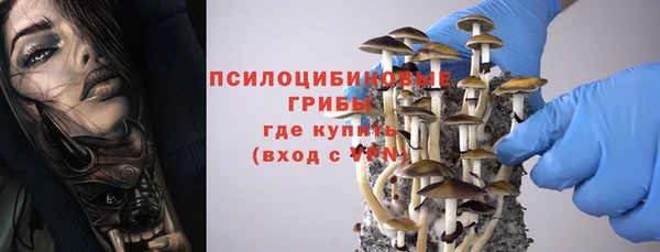 винт Володарск