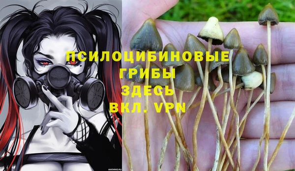 синтетический гашиш Волоколамск