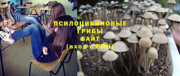 винт Володарск