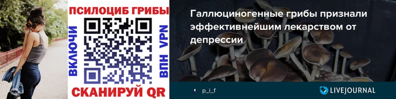 Галлюциногенные грибы прущие грибы  Чернушка 
