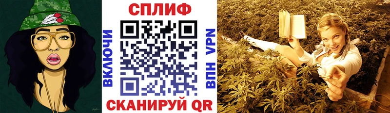 Конопля Ganja  Чернушка 